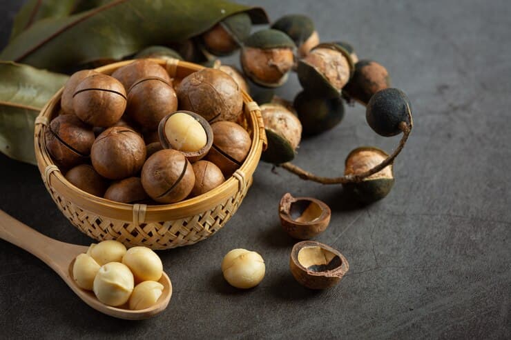 فندق ماکادمیا